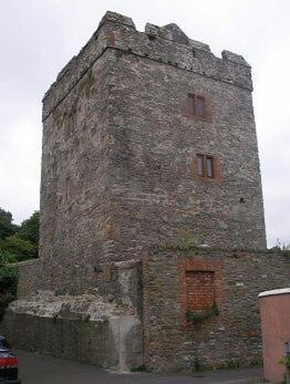 The Castle Apartment Strangford Bagian luar foto