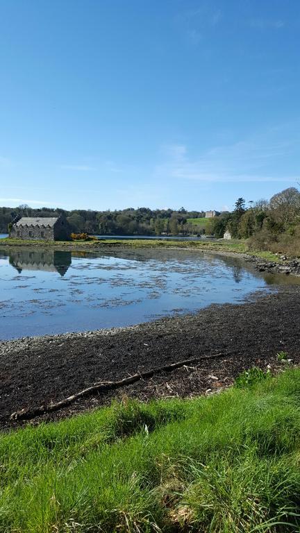 The Castle Apartment Strangford Bagian luar foto